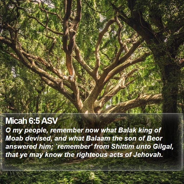 Micah 6:5 ASV Bible Study