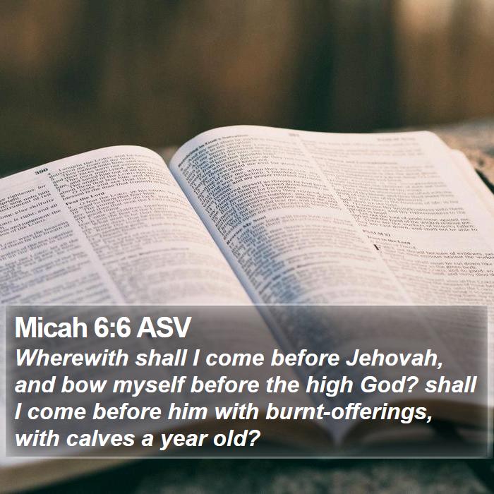 Micah 6:6 ASV Bible Study