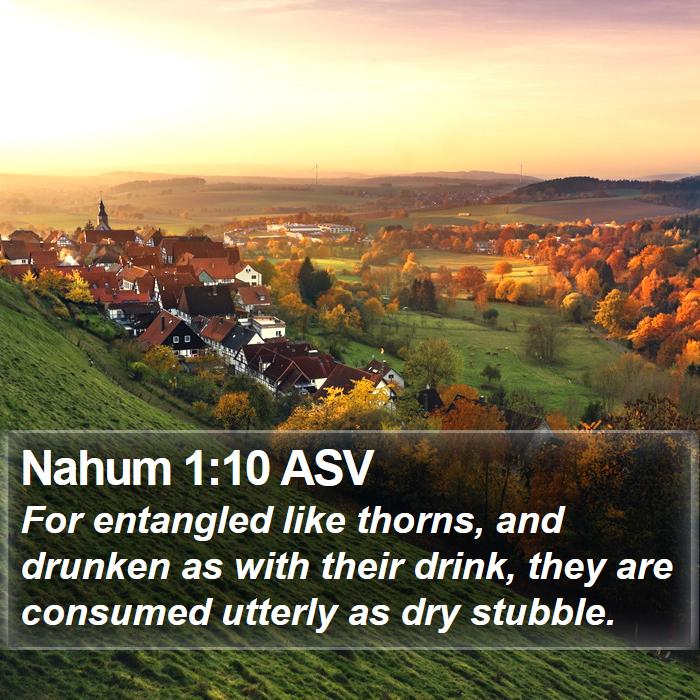 Nahum 1:10 ASV Bible Study