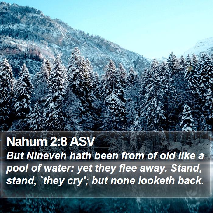 Nahum 2:8 ASV Bible Study