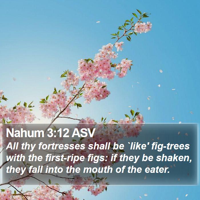 Nahum 3:12 ASV Bible Study