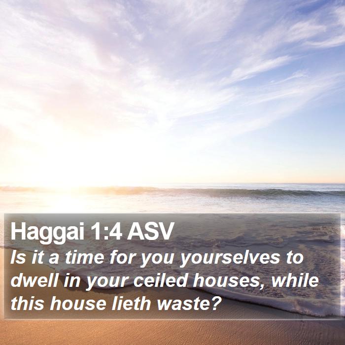 Haggai 1:4 ASV Bible Study