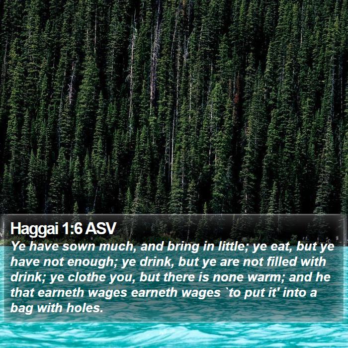 Haggai 1:6 ASV Bible Study