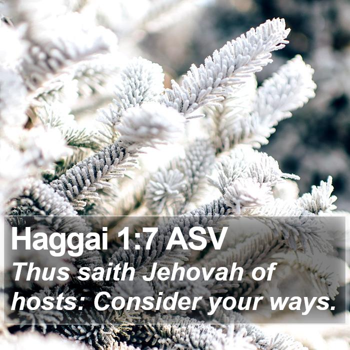 Haggai 1:7 ASV Bible Study