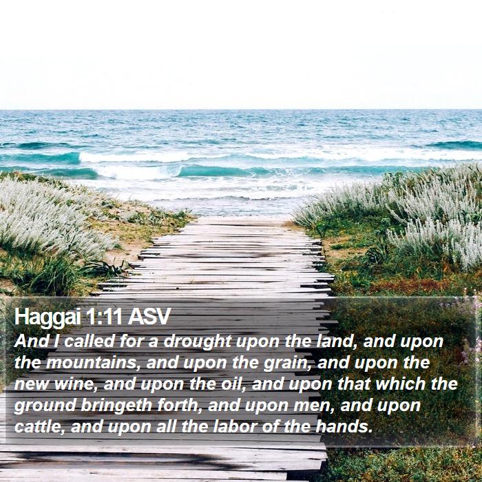 Haggai 1:11 ASV Bible Study