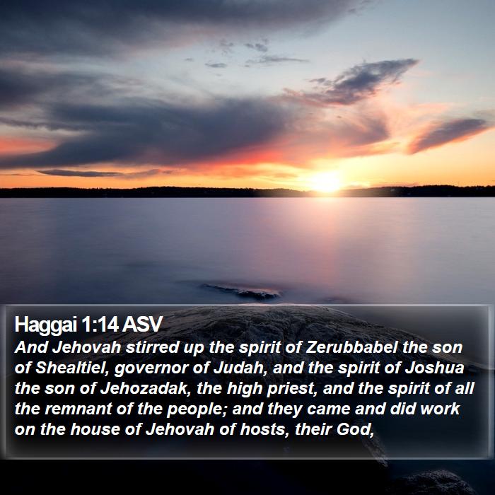 Haggai 1:14 ASV Bible Study