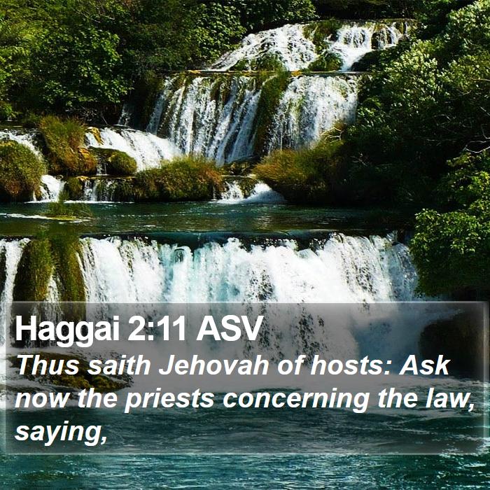 Haggai 2:11 ASV Bible Study