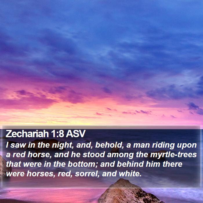 Zechariah 1:8 ASV Bible Study