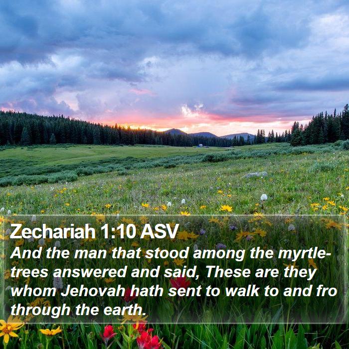 Zechariah 1:10 ASV Bible Study