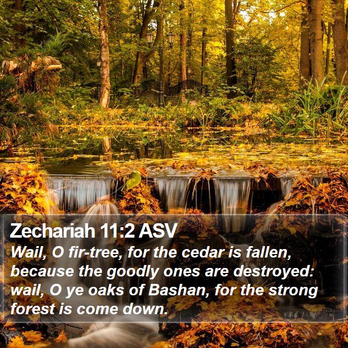 Zechariah 11:2 ASV Bible Study