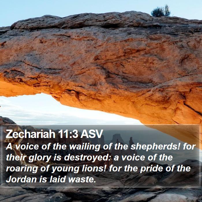 Zechariah 11:3 ASV Bible Study