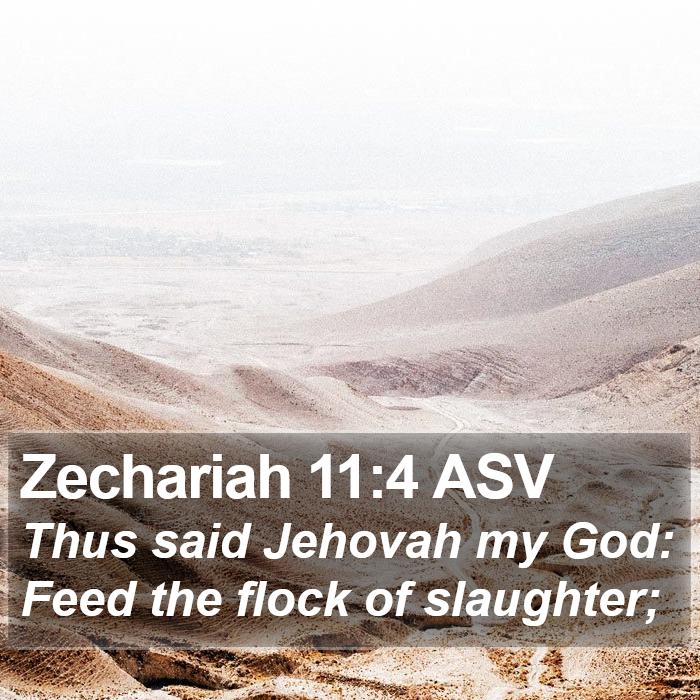 Zechariah 11:4 ASV Bible Study