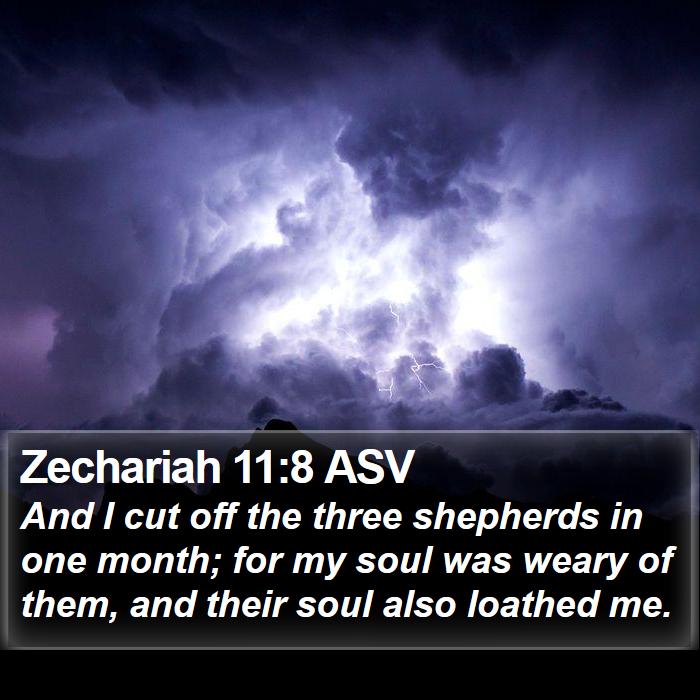 Zechariah 11:8 ASV Bible Study