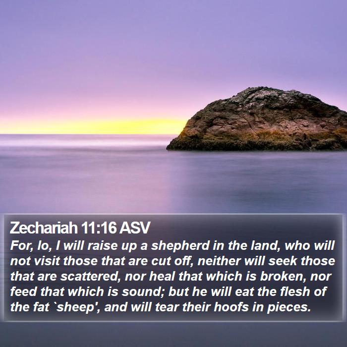 Zechariah 11:16 ASV Bible Study