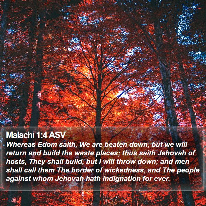 Malachi 1:4 ASV Bible Study