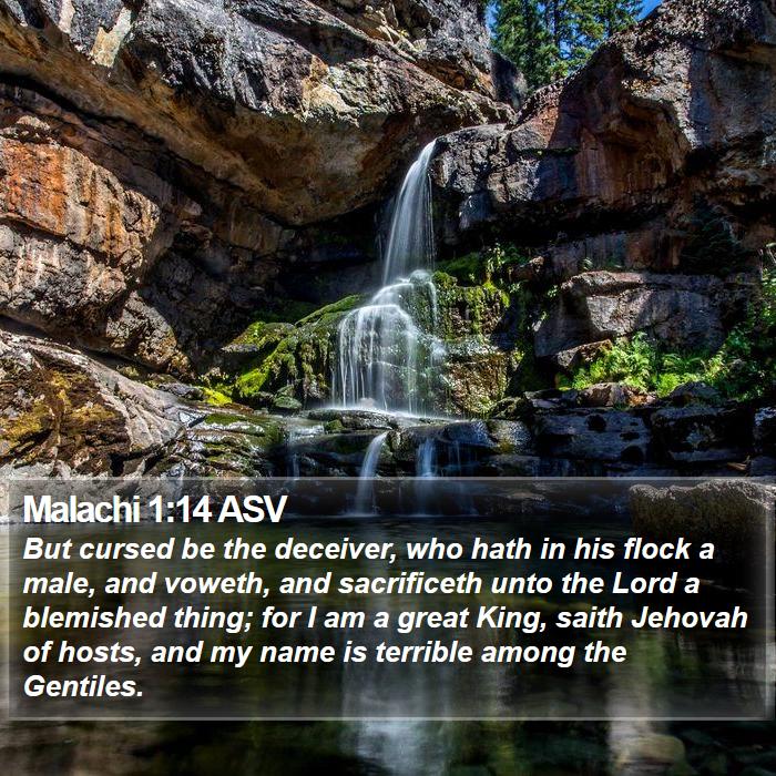 Malachi 1:14 ASV Bible Study