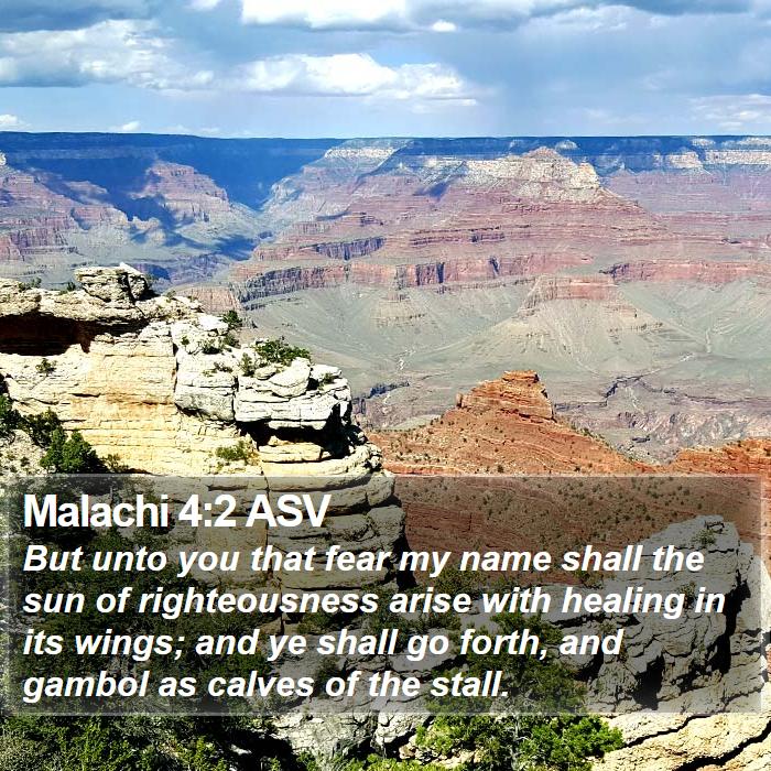 Malachi 4:2 ASV Bible Study