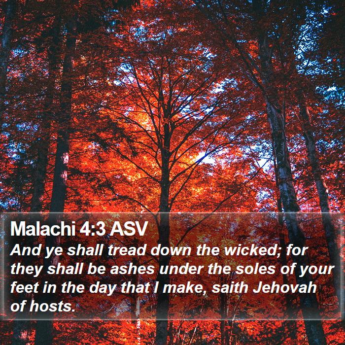 Malachi 4:3 ASV Bible Study