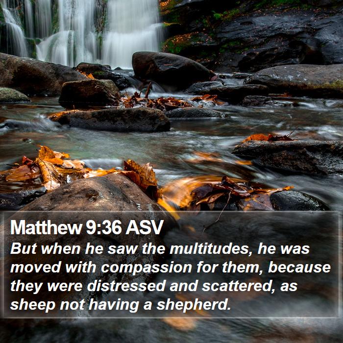 Matthew 9:36 ASV Bible Study