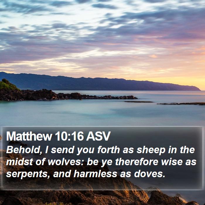 Matthew 10:16 ASV Bible Study