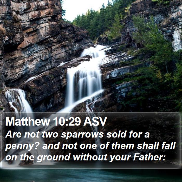 Matthew 10:29 ASV Bible Study