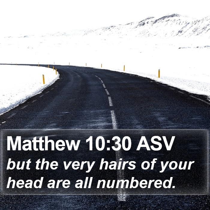 Matthew 10:30 ASV Bible Study