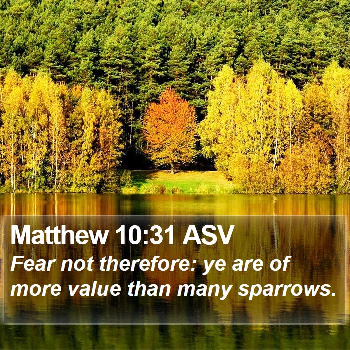 Matthew 10:31 ASV Bible Study