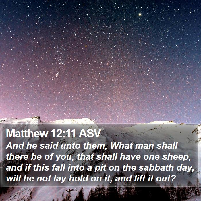 Matthew 12:11 ASV Bible Study