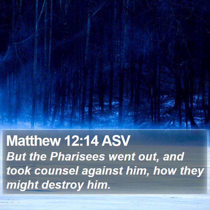 Matthew 12:14 ASV Bible Study