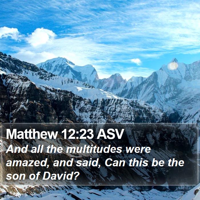 Matthew 12:23 ASV Bible Study