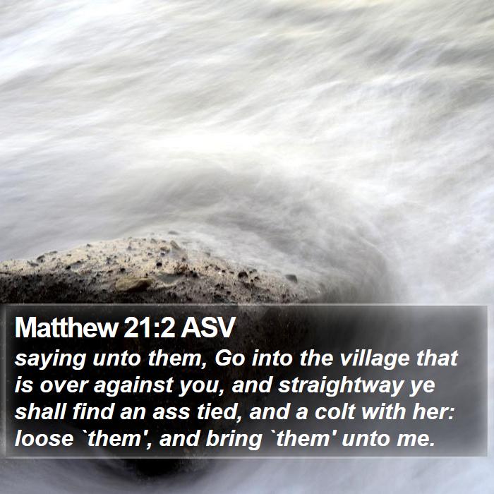 Matthew 21:2 ASV Bible Study