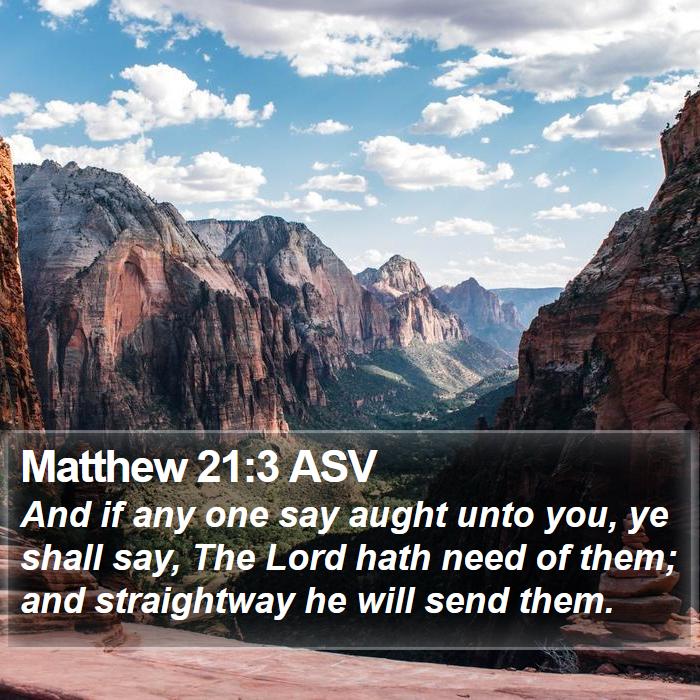 Matthew 21:3 ASV Bible Study