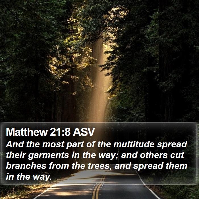 Matthew 21:8 ASV Bible Study