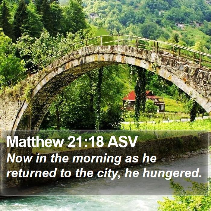 Matthew 21:18 ASV Bible Study