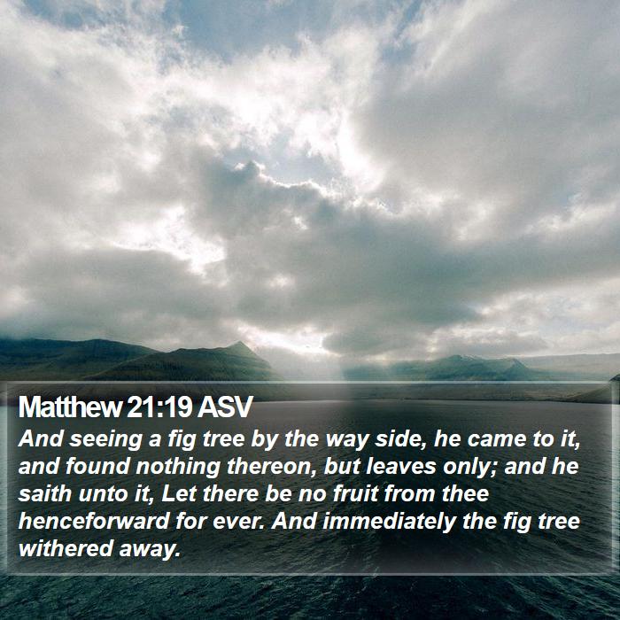 Matthew 21:19 ASV Bible Study