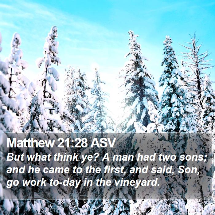 Matthew 21:28 ASV Bible Study