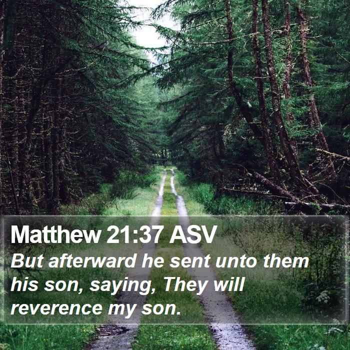 Matthew 21:37 ASV Bible Study