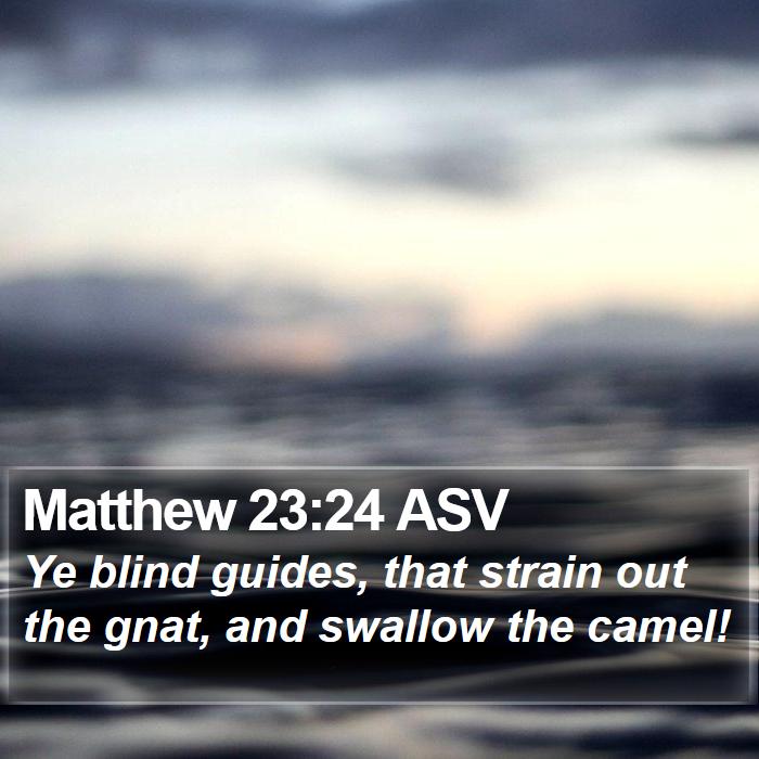 Matthew 23:24 ASV Bible Study