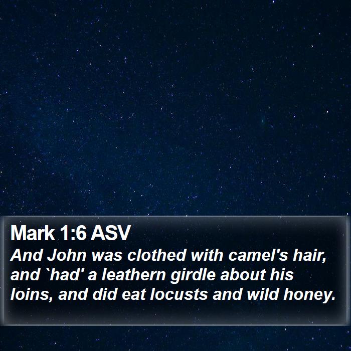 Mark 1:6 ASV Bible Study