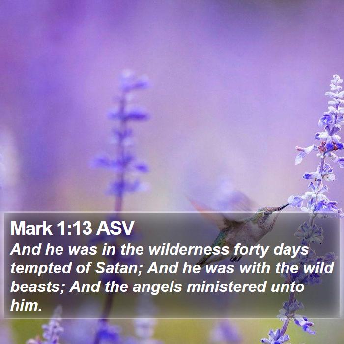 Mark 1:13 ASV Bible Study