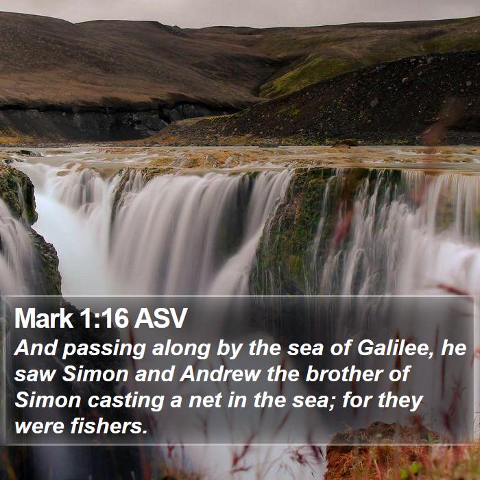 Mark 1:16 ASV Bible Study