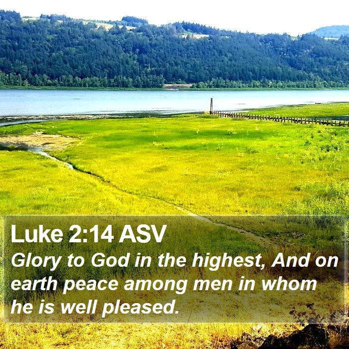 Luke 2:14 ASV Bible Study