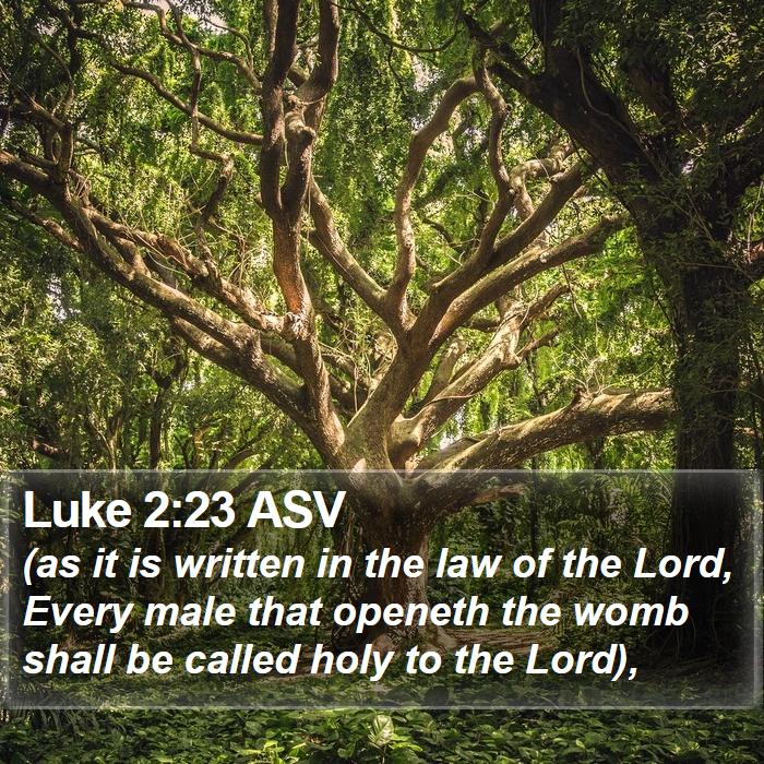 Luke 2:23 ASV Bible Study