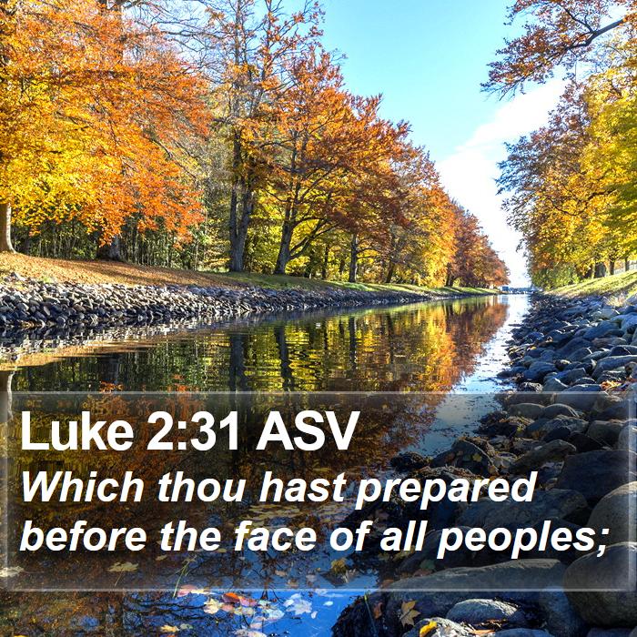 Luke 2:31 ASV Bible Study