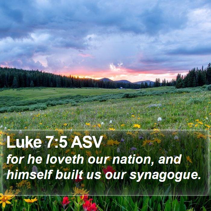 Luke 7:5 ASV Bible Study