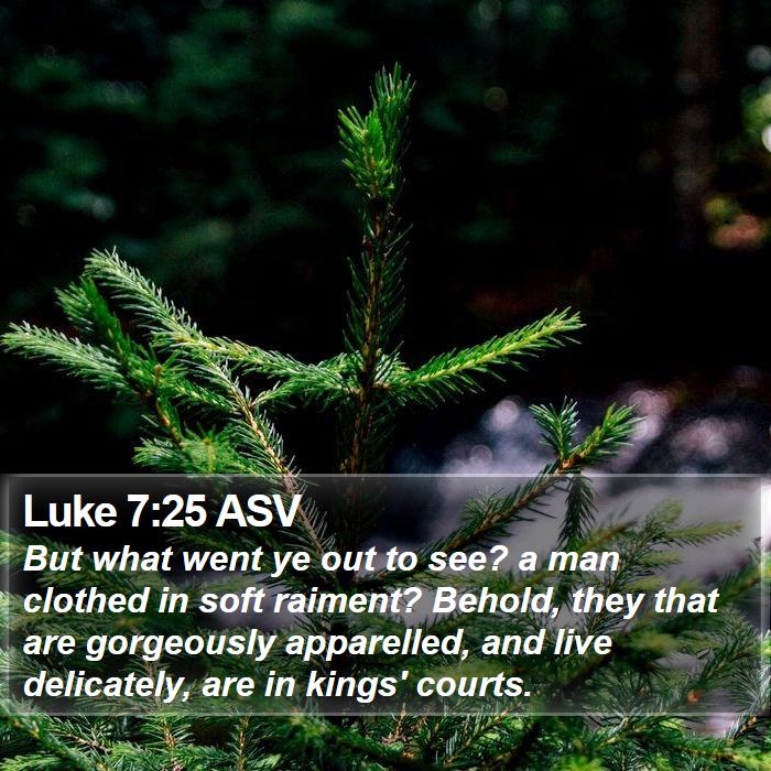 Luke 7:25 ASV Bible Study