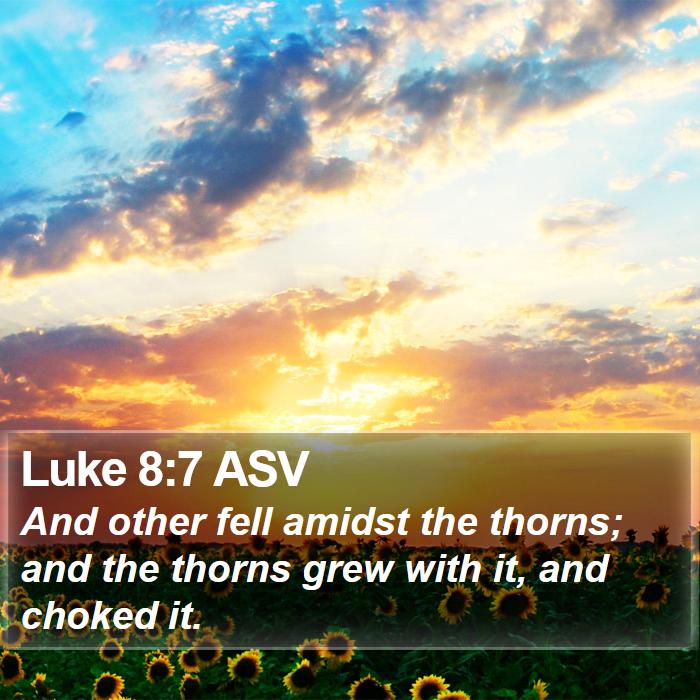 Luke 8:7 ASV Bible Study