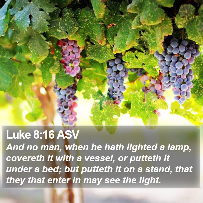 Luke 8:16 ASV Bible Study