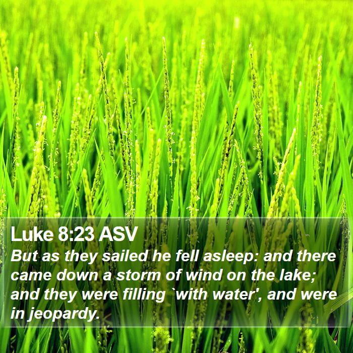 Luke 8:23 ASV Bible Study