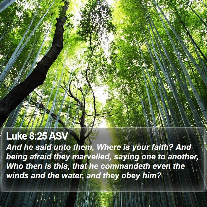 Luke 8:25 ASV Bible Study